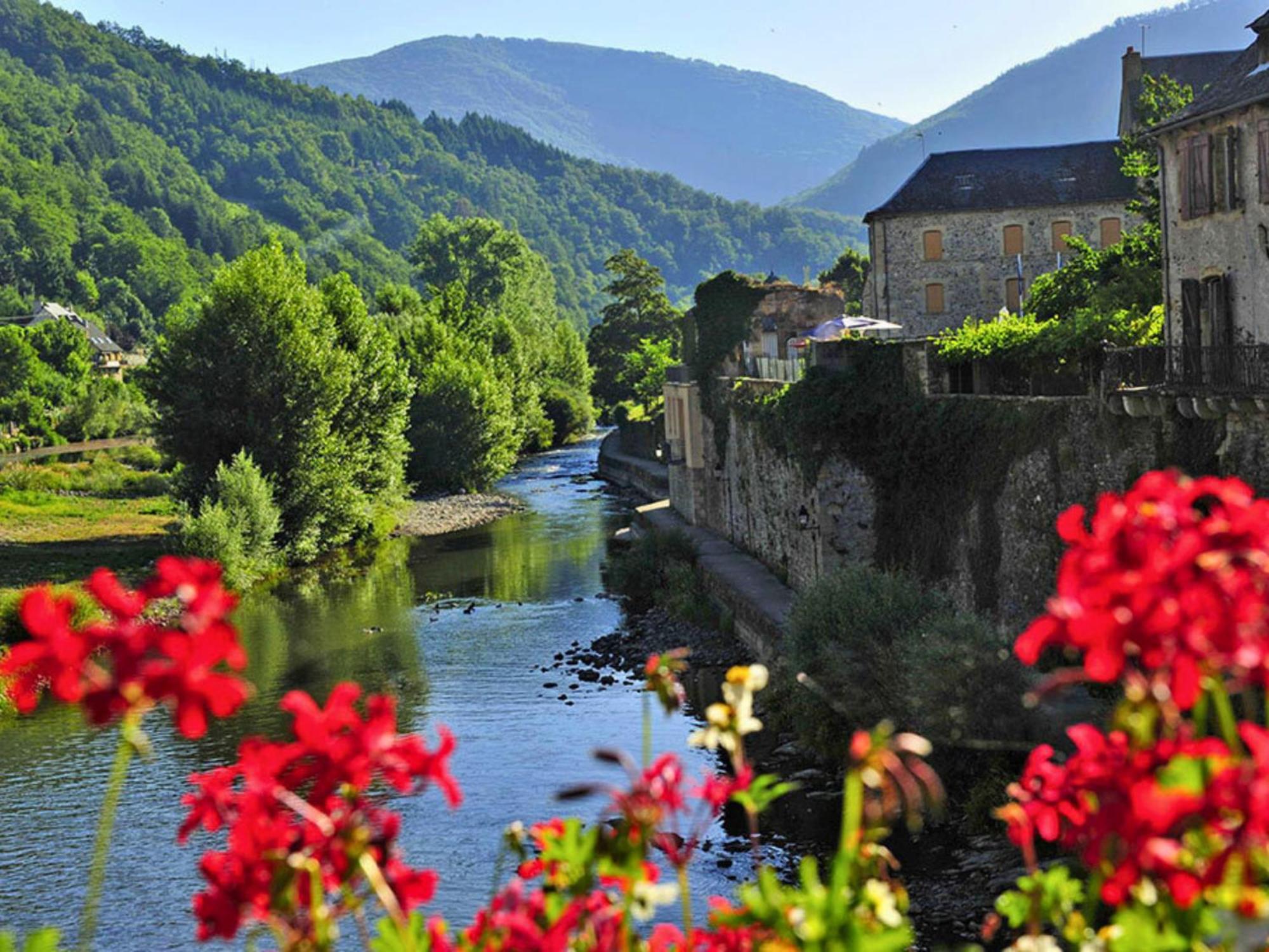 La Maison Bleue, Village Vacances, Piscine, Parking Saint-Geniez-d'Olt Exterior foto